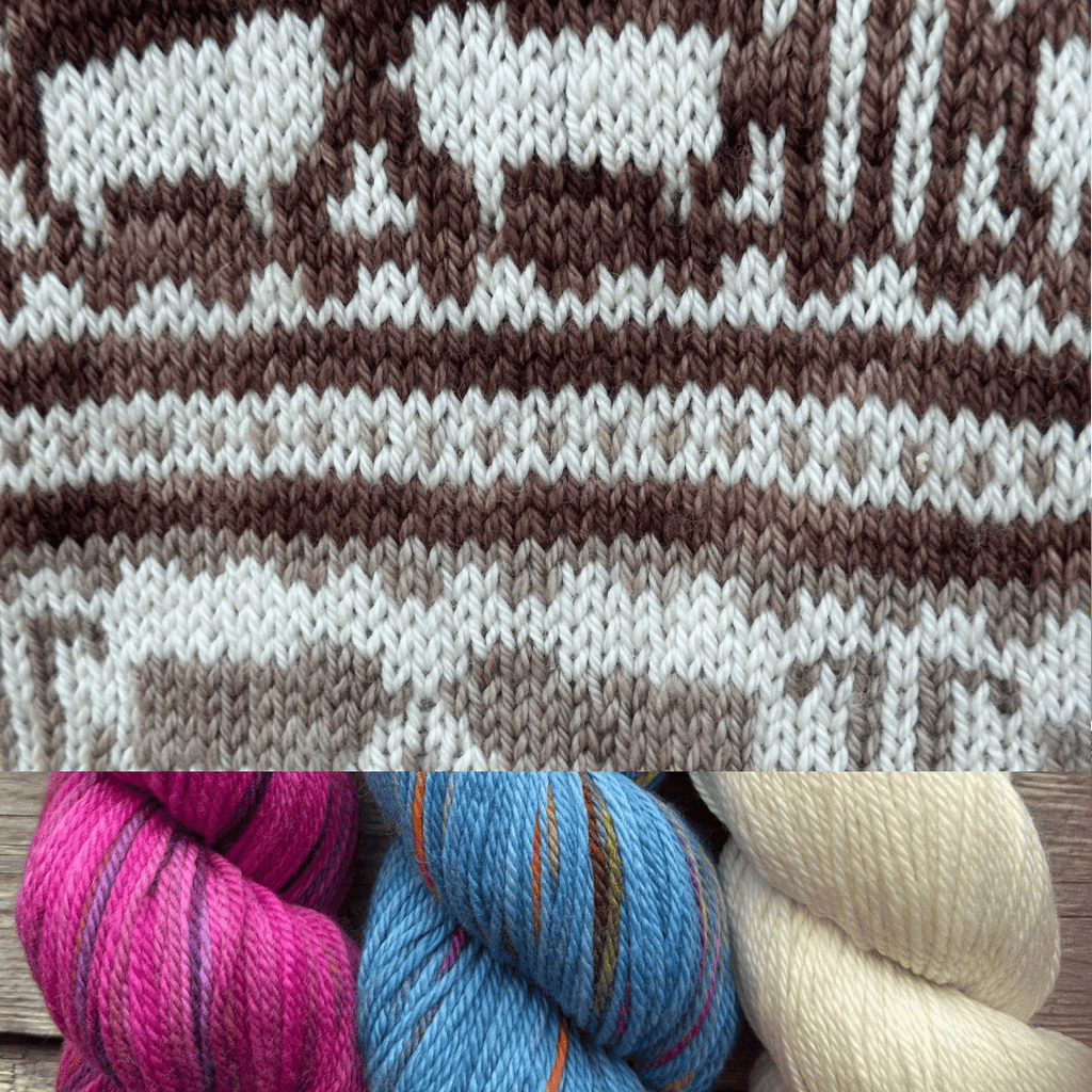 Koigu Heritage Sweater Kits - Koigu Sheep - Color C (Ilo) XS - XL | Kits at Michigan Fine Yarns