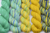 Michigan Fine Yarns Olivia Shawl Yarn Kits -Kit 16 35351338 | Kits at Michigan Fine Yarns
