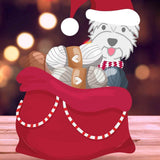 Santa's Mystery Stash - B - Novelty Stash Builder