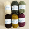 Berroco Lanas Light Mini Color Pack - 2 - Fall Forest 780335780029 | Yarn at Michigan Fine Yarns