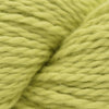 Blue Sky Fibers Organic Cotton Sport -207 - Lemongrass | Yarn at Michigan Fine Yarns