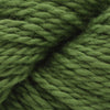 Blue Sky Fibers Organic Cotton Sport -233 - Pickle | Yarn at Michigan Fine Yarns
