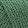 Brown Sheep Company Lamb's Pride Bulky - M147 - Emerald Green 759552022861 | Yarn at Michigan Fine Yarns