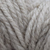 Brown Sheep Company Prairie Spun DK - 150 - Parchment 759552026678 | Yarn at Michigan Fine Yarns