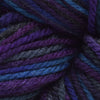 Brown Sheep Company Prairie Spun DK - 200 - Blueberry Patch (Hand Painted) 759552022335 | Yarn at Michigan Fine Yarns