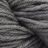 Brown Sheep Company Prairie Spun DK - 75 - Dancing Leaf 759552022250 | Yarn at Michigan Fine Yarns