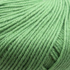Cascade Yarns 220 Superwash | Yarn at Michigan Fine Yarns