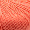 Cascade Yarns 220 Superwash | Yarn at Michigan Fine Yarns