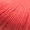 Cascade Yarns 220 Superwash | Yarn at Michigan Fine Yarns