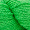 Cascade Yarns 128 Superwash - 387 - Highlighter Green | Yarn at Michigan Fine Yarns