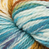 Cascade Yarns 128 Superwash Hand Paints - 719 - Retro  | Yarn at Michigan Fine Yarns
