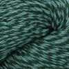 Cascade Yarns 220 -1104 - Forest Marl  | Yarn at Michigan Fine Yarns