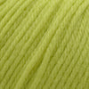 Cascade Yarns 220 Superwash -370 - Sulfur  | Yarn at Michigan Fine Yarns