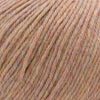 Cascade Yarns 220 Superwash -375 - Blush Heather  | Yarn at Michigan Fine Yarns