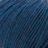 Cascade Yarns 220 Superwash -377 - Lapis Heather  | Yarn at Michigan Fine Yarns