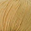 Cascade Yarns 220 Superwash -380 - Wheat Heather  | Yarn at Michigan Fine Yarns