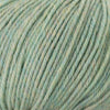 Cascade Yarns 220 Superwash -383 - Flourite Heather  | Yarn at Michigan Fine Yarns