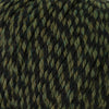 Cascade Yarns 220 Superwash -385 - Lichen Twist  | Yarn at Michigan Fine Yarns