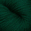 Cascade Yarns 220 Superwash Aran - 1950 - Hunter Green | Yarn at Michigan Fine Yarns