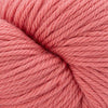 Cascade Yarns 220 Superwash Aran - 242 - Deep Sea Coral | Yarn at Michigan Fine Yarns