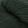 Cascade Yarns 220 Superwash Aran - 258 - Pine Grove | Yarn at Michigan Fine Yarns