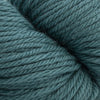 Cascade Yarns 220 Superwash Aran - 294 - Silver Pine  | Yarn at Michigan Fine Yarns