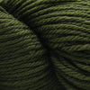 Cascade Yarns 220 Superwash Aran - 336 - Chive | Yarn at Michigan Fine Yarns