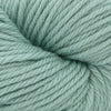 Cascade Yarns 220 Superwash Aran - 409 - Lily Pad  | Yarn at Michigan Fine Yarns