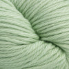 Cascade Yarns 220 Superwash Aran - 411 - Nile Green  | Yarn at Michigan Fine Yarns