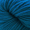 Cascade Yarns 220 Superwash Aran - 514 - Deep Lagoon | Yarn at Michigan Fine Yarns