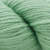 Cascade Yarns 220 Superwash Aran - 519 - Silt Green | Yarn at Michigan Fine Yarns