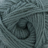Cascade Yarns 220 Superwash Merino - 136 - Silver Pine 886904076439 | Yarn at Michigan Fine Yarns