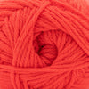 Cascade Yarns 220 Superwash Merino - 138 - Highlighter Tangelo 886904076453 | Yarn at Michigan Fine Yarns