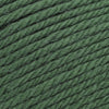 Cascade Yarns 220 Superwash Merino - 16 - Verdant Green 886904046692 | Yarn at Michigan Fine Yarns