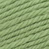 Cascade Yarns 220 Superwash Merino - 17 - Green Tea | Yarn at Michigan Fine Yarns