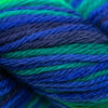 Cascade Yarns 220 Superwash Sport Multis - 111 - Blackwatch 886904030110 | Yarn at Michigan Fine Yarns