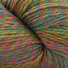 Cascade Yarns 220 Superwash Sport Wave - 119 - Wildflower | Yarn at Michigan Fine Yarns