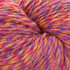 Cascade Yarns 220 Superwash Sport Wave - 122 - Bird of Paradise | Yarn at Michigan Fine Yarns