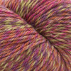 Cascade Yarns 220 Superwash Sport Wave - 135 - Farmers Market | Yarn at Michigan Fine Yarns