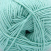 Cascade Yarns Anchor Bay - 41 - Aqua Glass | Yarn at Michigan Fine Yarns