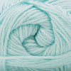 Cascade Yarns Cherub Aran - 135 - Mint Julep  | Yarn at Michigan Fine Yarns