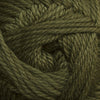 Cascade Yarns Cherub Aran - 60 - Fir Green  | Yarn at Michigan Fine Yarns