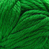 Cascade Yarns Cherub Bulky - 85 - Verdant Green | Yarn at Michigan Fine Yarns
