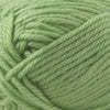 Cascade Yarns Cherub Chunky - 11 - Key Lime  | Yarn at Michigan Fine Yarns