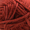 Cascade Yarns Cherub Chunky - 117 - Cinnabar  | Yarn at Michigan Fine Yarns