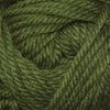 Cascade Yarns Cherub Chunky - 36 - Cactus  | Yarn at Michigan Fine Yarns