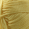 Cascade Yarns Cherub Chunky - 38 - Yellow  | Yarn at Michigan Fine Yarns