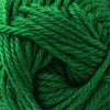 Cascade Yarns Cherub Chunky - 85 - Verdant Green  | Yarn at Michigan Fine Yarns