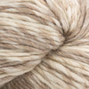 Cascade Yarns Eco Duo - 1716 - Cafe Swirl  | Yarn at Michigan Fine Yarns