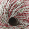 Cascade Yarns Fixation Splash - 111 - Holidaze 886904010624 | Yarn at Michigan Fine Yarns